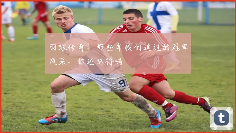羽球传奇！那些年我们追过的冠军风采，你还记得吗