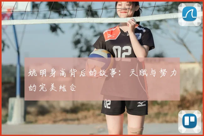 姚明身高背后的故事:天赋与努力的完美结合