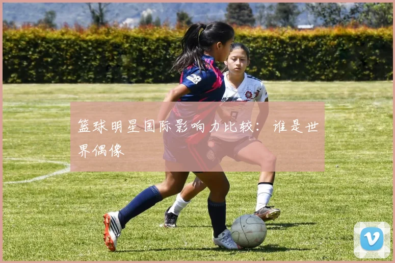 篮球明星国际影响力比较：谁是世界偶像
